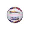 Wilson 2025 NBA All Star Mini Ball WZ3020201XB